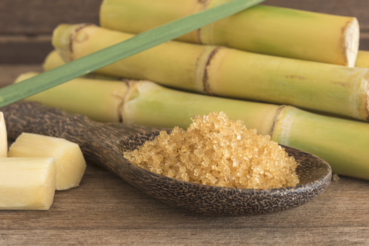 Сахарный тростник содержит 9. Сахарный тростник сахар. Тростниковый сахар белый. Сахар тростниковый. Бамбуковый сахар.