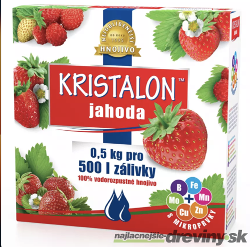 Agro Kristalon Jahoda 500g