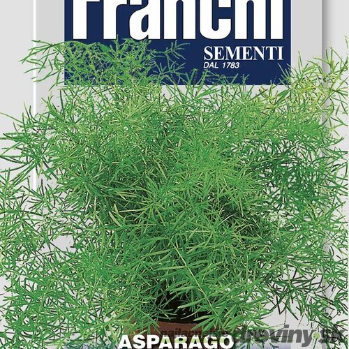 Asparagus - SPRENGERI - semená