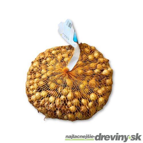 Cibuľa sadzačka KARMEN 500g, 8-16mm