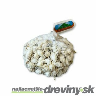 Cibuľa sádzačka SNOWBALL 500g, 8-16mm