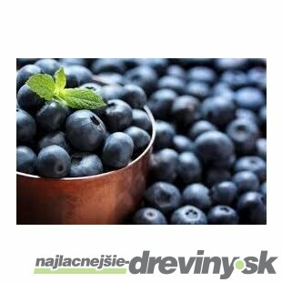 Čučoriedka Patriot 20/40 cm, v črepníku P11 Vaccinium corymbosum Patriot