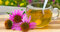 Echinacea purpurová, v črepníku Echinacea Purpurea