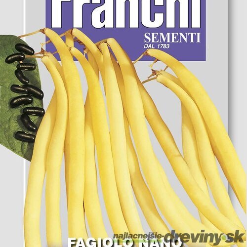 Fazuľa nízka - ROCQUENCOURT - semená, 45 gramov