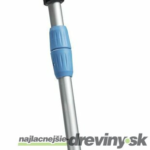GLORIA WEEDBRUSH LI-ON