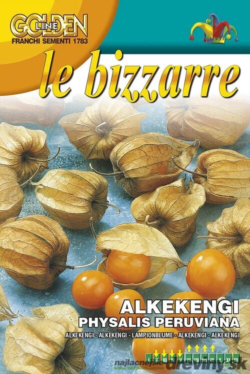 Machovka - Physalis peruviana