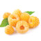 Malina žltá supersladká Golden Queen, výška 20/50 cm, v črepníku 2l Rubus idaeus Golden Queen