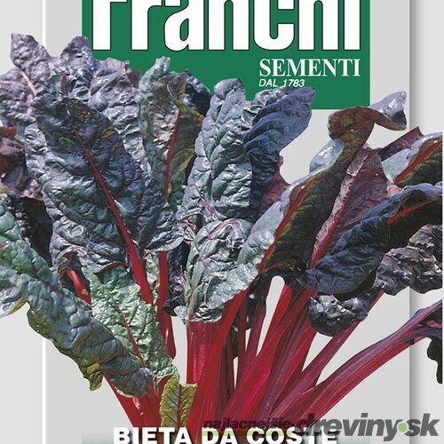 Mangold - RHUBARB CHARD semená 9gr.
