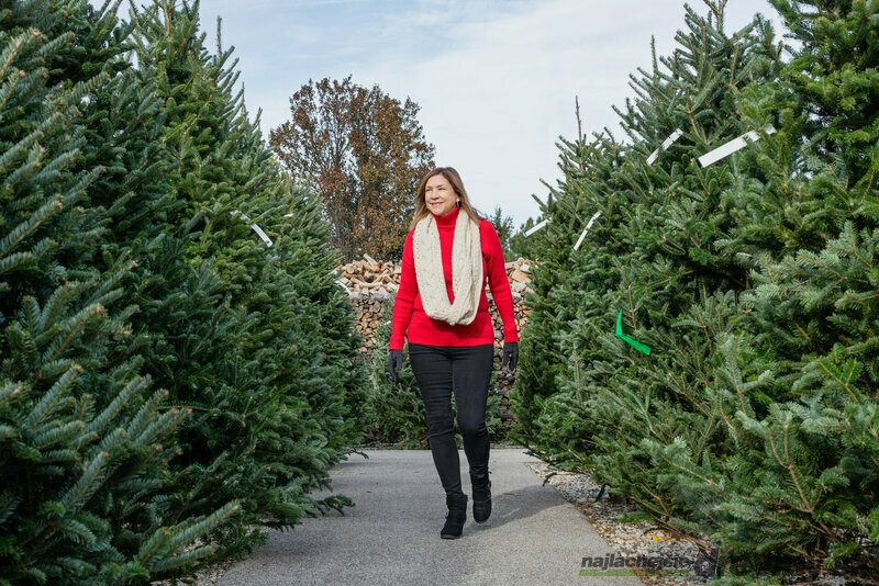 Najkrajšie druhy živých Vianočných stromov