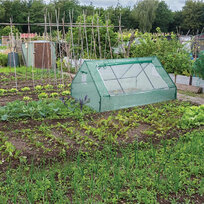 Parenisko Greenhouse, fólia, fóliovník, 180x140x94 cm