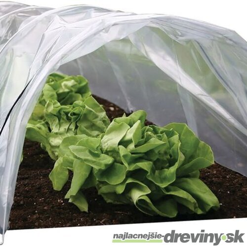 Parenisko Strend Pro Greenhouse, mini fóliovník, 55x600x40 cm