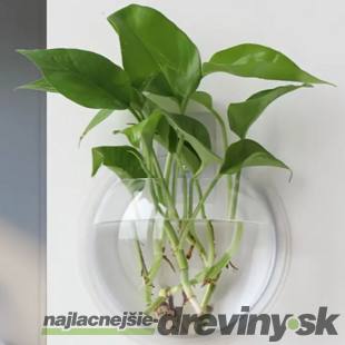 Plastová závesná váza