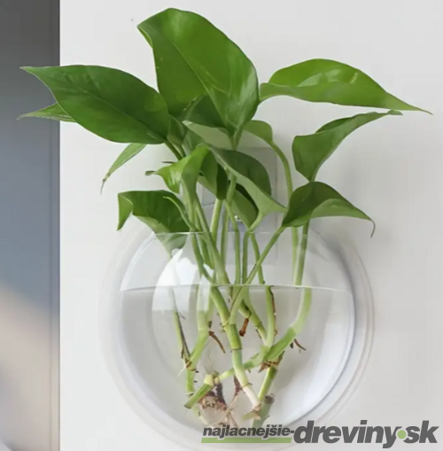 Plastová závesná váza