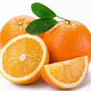 Pomarančovník