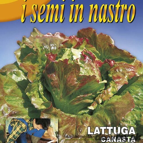 ŠALÁT - CANASTA (Výsevný pásik 5 metrov)