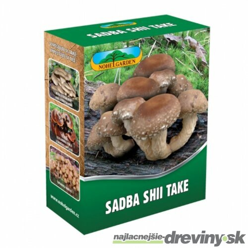 Shiitake záhradka 100% BIO celoročná (elixír života) Jedlé huby liečivé Lentinula edodes