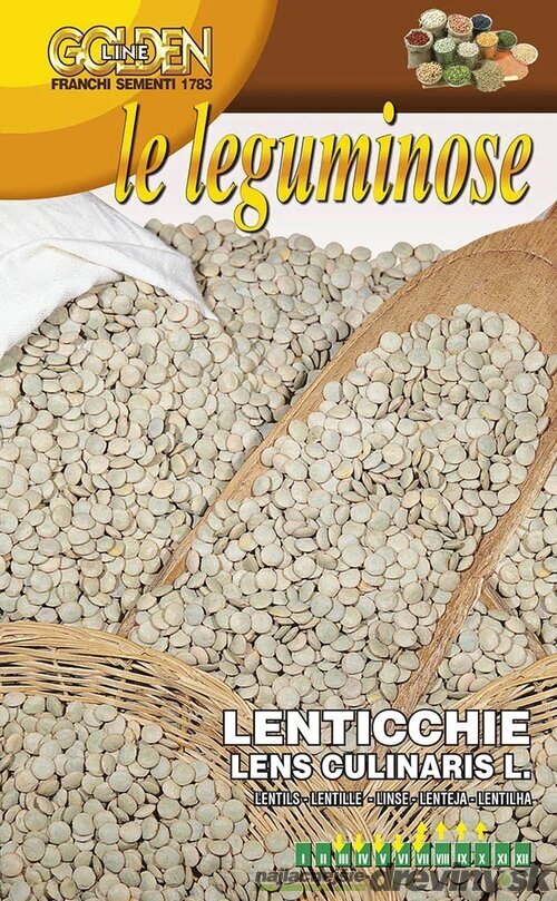 Šošovica