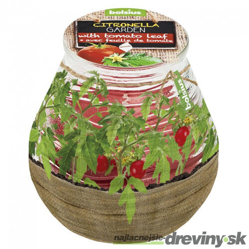 Sviečka bolsius Teracce Citronella, repelentná, 94/91 mm, paradajka