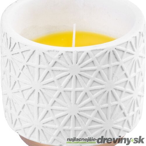 Sviečka Citronella, biela, repelentná, v dekoračnom kvetináči, 200 g, 110x100 mm