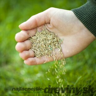 Trávové semeno univerzál vážené 1 kg