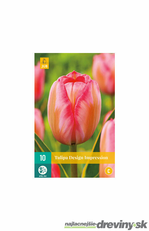Tulipán ´Design Impression´, 10 ks v balení TULIPA DESIGN IMPRESSION