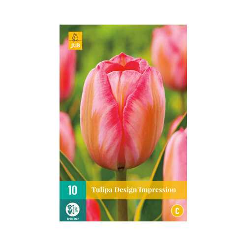Tulipán ´Design Impression´, 10 ks v balení TULIPA DESIGN IMPRESSION