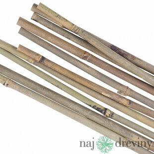 Tyč Garden KBT 1200/12-14 mm, bambus, oporná k rastlinám