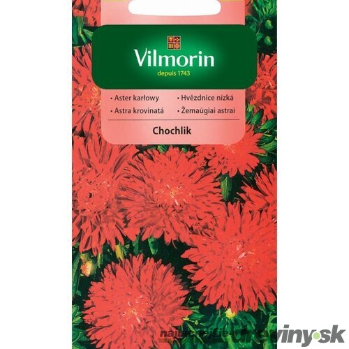 Vilmorin Astrovka čínska semiačka Chochlik