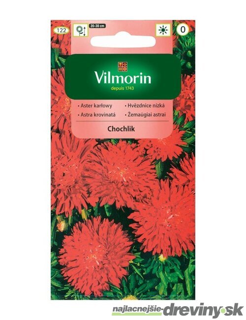 Vilmorin Astrovka čínska semiačka Chochlik