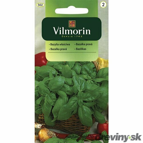 Vilmorin CLASSIC Bazalka pravá 1 g