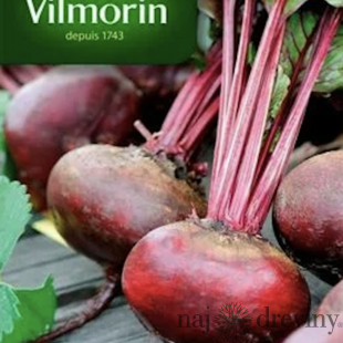Vilmorin CLASSIC Červená repa d‘ Egypte - skorá 10 g