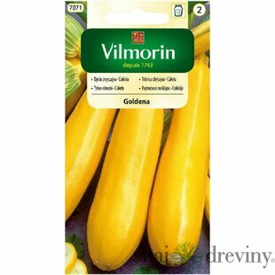 Vilmorin CLASSIC Cuketa žltá skorá 2 g