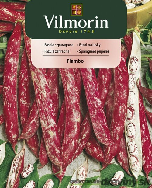 Vilmorin CLASSIC Fazuľa záhradná FLAMBO skorá 30 g