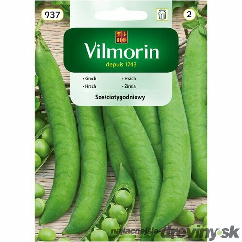 Vilmorin CLASSIC Hrach šesťtýždňový skorý 40 g