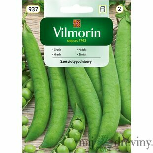 Vilmorin CLASSIC Hrach SZEŚCIOTYGODNIOWY skorý 40 g