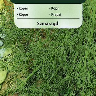Vilmorin CLASSIC Kôpor SMARAGD - stredne skorý 5 g