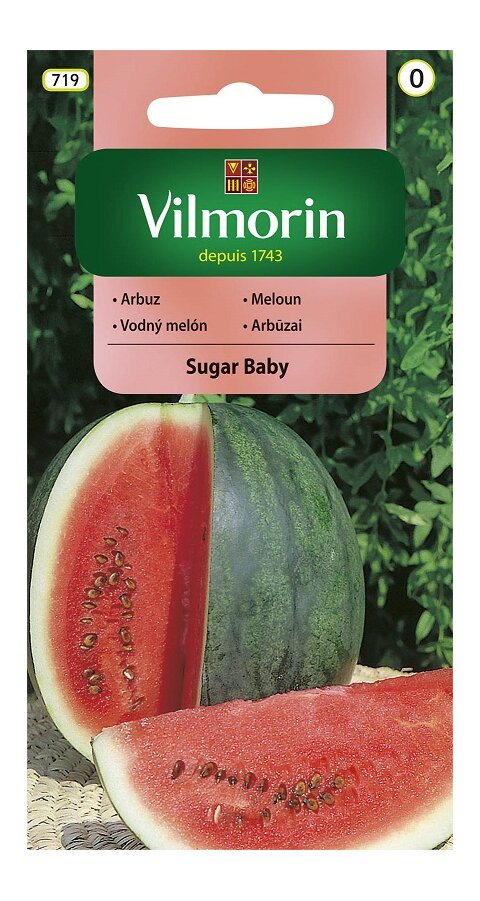 Vilmorin CLASSIC Melón SUGAR BABY - skorý 1 g