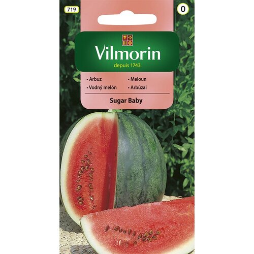 Vilmorin CLASSIC Melón SUGAR BABY - skorý 1 g