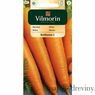 Vilmorin CLASSIC Mrkva BERLIKUMER 2 neskorá 5 g