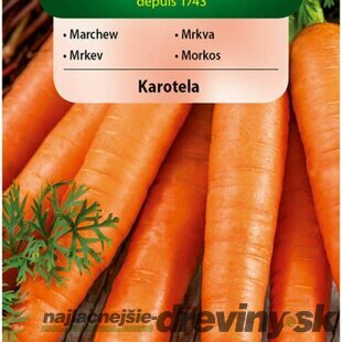 Vilmorin CLASSIC Mrkva KAROTELA skorá 5 g