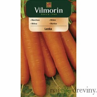 Vilmorin CLASSIC Mrkva LENKA stredne neskorá 5 g