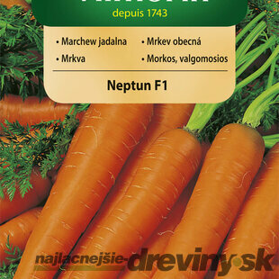 Vilmorin CLASSIC Mrkva NEPTUN F1 stredne neskorá 2 g