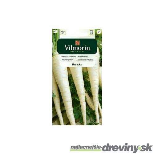 Vilmorin CLASSIC Petržlen koreňový HANACKA neskorý 5 g