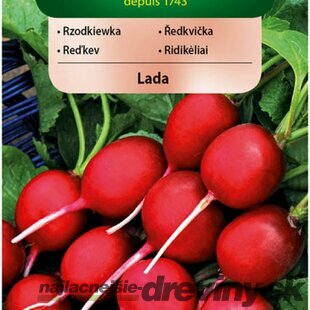 Vilmorin CLASSIC Reďkovka LADA stredne skorá 5 g
