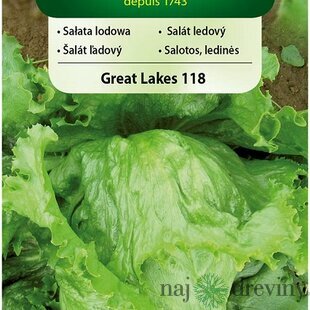 Vilmorin CLASSIC Šalát ľadový GREAT LAKES 118 - neskorý 1 g