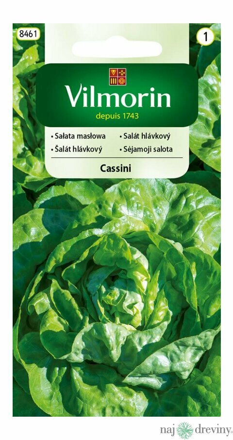 Vilmorin CLASSIC Šalát listový CASSINI skorý 0,5 g