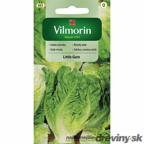 Vilmorin CLASSIC Šalát rímsky LITTLE GEM - skorý 0,5 g