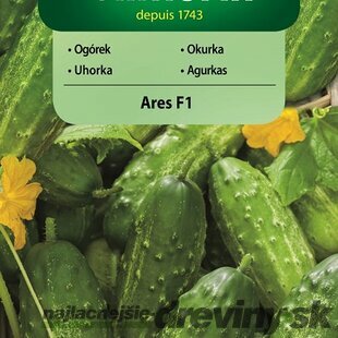 Vilmorin CLASSIC Uhorka siata ARES F1 stredne neskorá 3 g