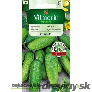 Vilmorin CLASSIC Uhorka siata OCTOPUS - F1 neskorá 2 g