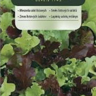 Vilmorin CLASSIC Zmes listových šalátov Sladký Mesclun 0,5 g